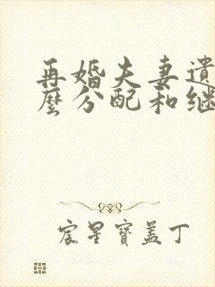 再婚夫妻遗产怎么分配和继承分割