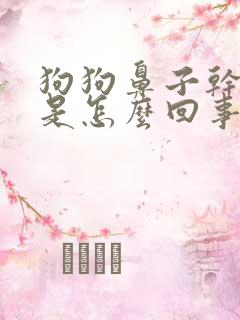 狗狗鼻子干干的是怎么回事