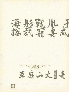 海彤战胤 千亿总裁宠妻成狂