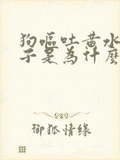 狗呕吐黄水带沫子是为什么