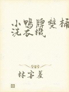 小鸭牌双桶小型洗衣机