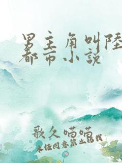 男主角叫陆原的都市小说