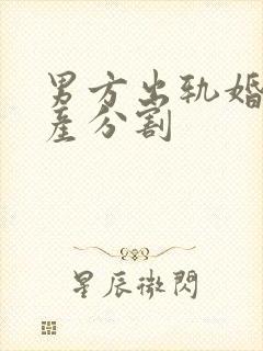 男方出轨婚姻财产分割