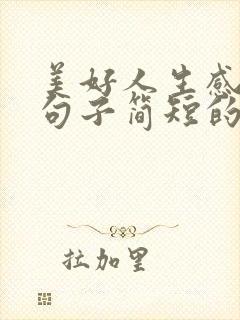 美好人生感悟的句子简短的