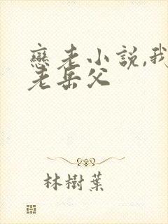 恋老小说,我和老岳父