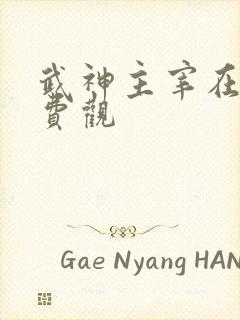 武神主宰在线免费观