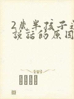 2岁半孩子还不说话的原因