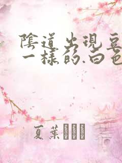 阴道出现豆腐渣一样的.白色东西怎么回事