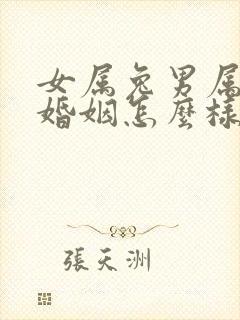 女属兔男属马的婚姻怎么样