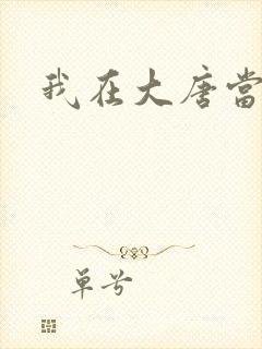 我在大唐当神棍