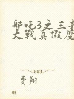 哪吒3之三龙女大战真假魔童