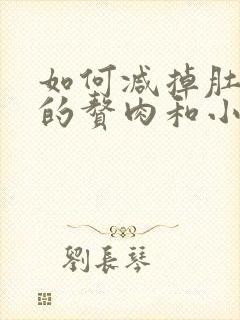 如何减掉肚子上的赘肉和小肚子