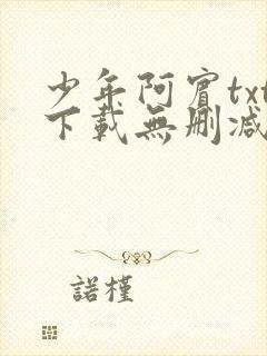 少年阿宾txt下载无删减