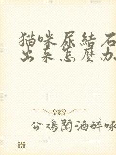 猫咪尿结石尿不出来怎么办