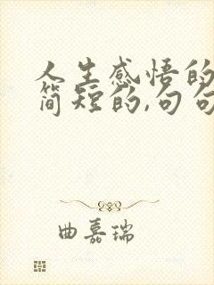 人生感悟的句子简短的,句句精辟现实