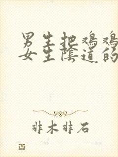 男生把鸡鸡插入女生阴道的视频