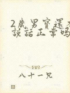 2岁男宝还不会说话正常吗