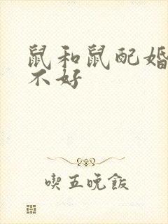 鼠和鼠配婚姻好不好