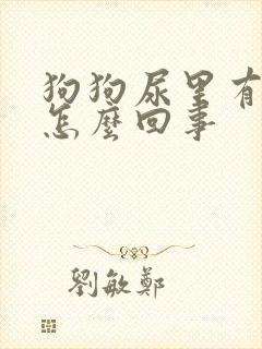 狗狗尿里有血是怎么回事