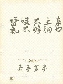 呼吸不上来感觉气不够胸口堵着