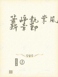 萧峥执掌风云最新章节