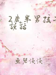 2岁半男孩子不说话