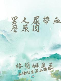 男人尿带血是什么原因