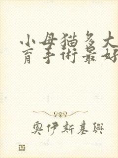 小母猫多大做绝育手术最好