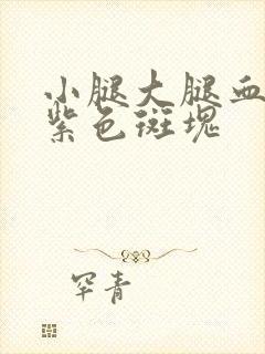 小腿大腿血管呈紫色斑块