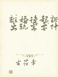 离婚后起诉婚内出轨需要什么证据