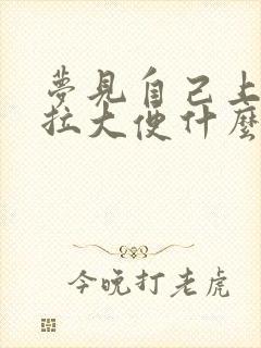 梦见自己上厕所拉大便什么意思