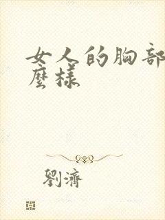 女人的胸部长什么样