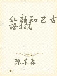 红颜知己古筝曲谱d调