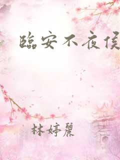 临安不夜侯起点