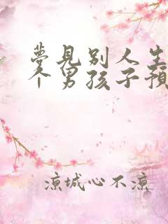 梦见别人生了两个男孩子预示什么