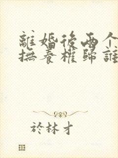 离婚后两个小孩抚养权归谁