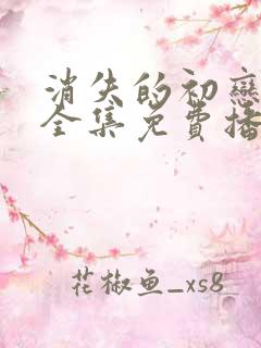 消失的初恋日剧全集免费播放