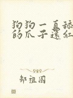 狗狗一直舔自己的爪子还红了