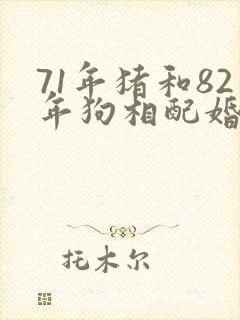 71年猪和82年狗相配婚姻如何