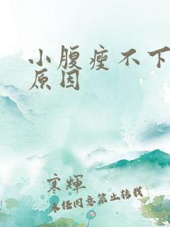 小腹瘦不下来的原因