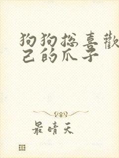 狗狗总喜欢舔自己的爪子