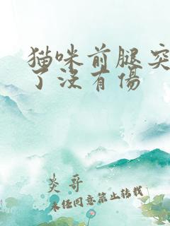 猫咪前腿突然瘸了没有伤