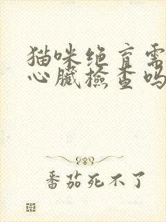 猫咪绝育需要做心脏检查吗