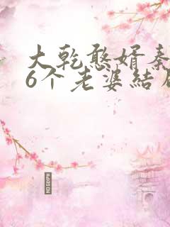 大乾憨婿秦墨16个老婆结局