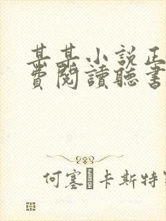 某某小说正版免费阅读听书