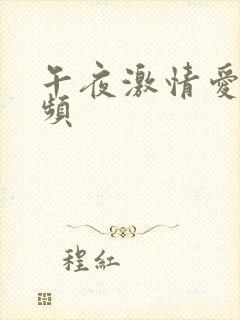 午夜激情爱爱视频