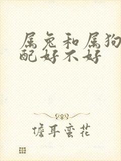 属兔和属狗的婚配好不好