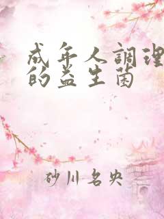 成年人调理肠胃的益生菌