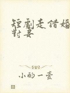 短剧走错婚礼娶对妻