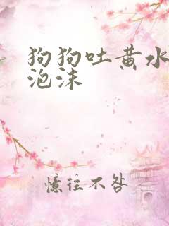 狗狗吐黄水带白泡沫